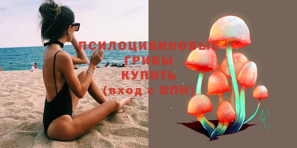 ешки Курчалой