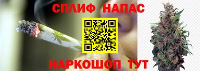 дурь Можайск