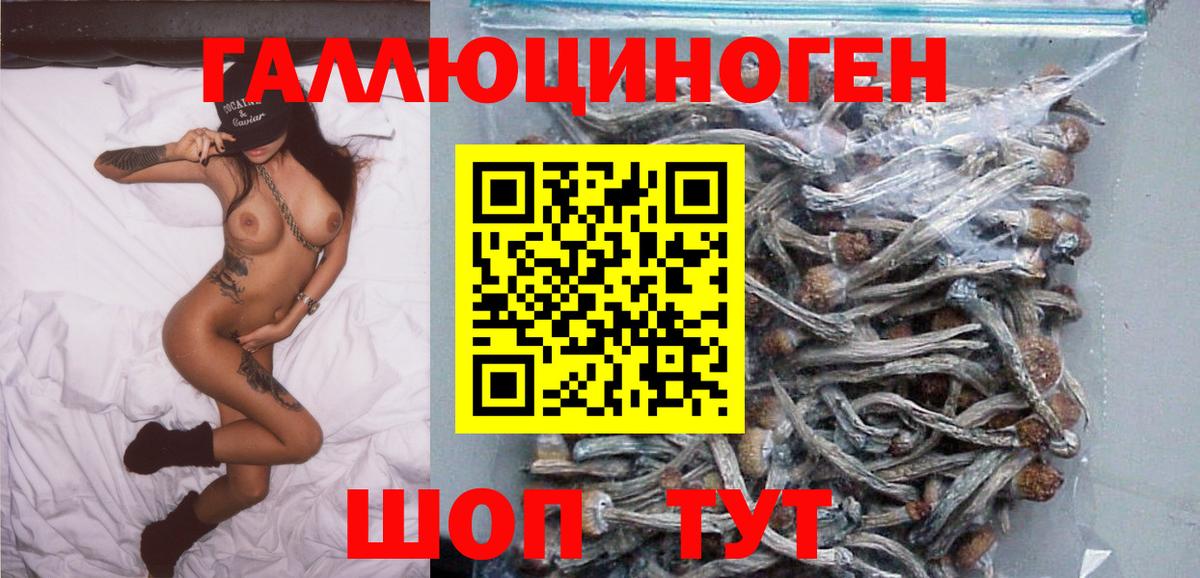 Галлюциногенные грибы Psilocybine cubensis  Галлюциногенные грибы мухоморы  Вход с VPN  Ревда 