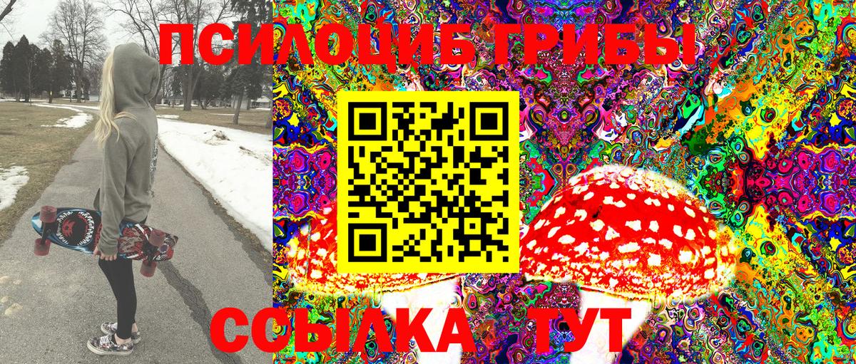 Псилоцибиновые грибы Psilocybe Ревда