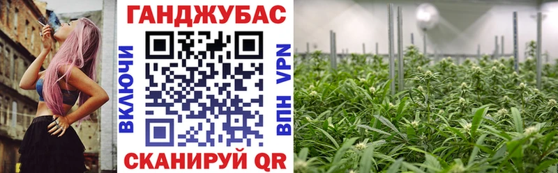Бошки Шишки Amnesia  Ревда 